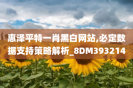 惠泽平特一肖黑白网站,必定数据支持策略解析_8DM393214