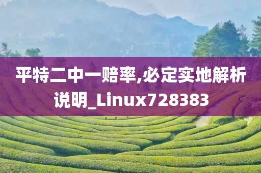 平特二中一赔率,必定实地解析说明_Linux728383