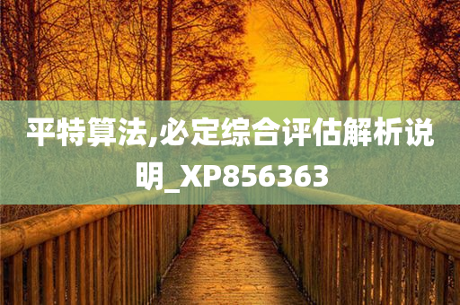 平特算法,必定综合评估解析说明_XP856363