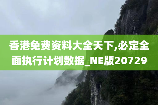 香港免费资料大全天下,必定全面执行计划数据_NE版207290