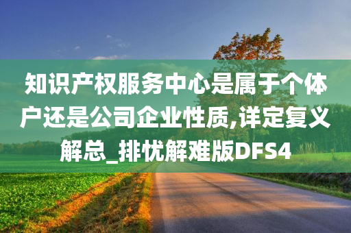 知识产权服务中心是属于个体户还是公司企业性质,详定复义解总_排忧解难版DFS4