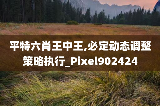 平特六肖王中王,必定动态调整策略执行_Pixel902424