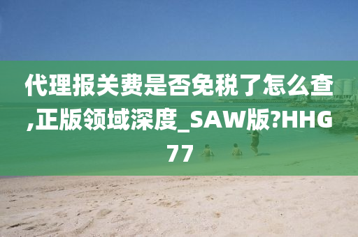 代理报关费是否免税了怎么查,正版领域深度_SAW版?HHG77