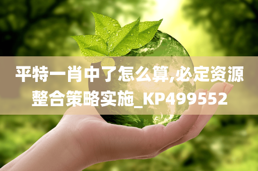 平特一肖中了怎么算,必定资源整合策略实施_KP499552