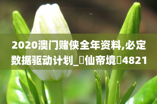 2020澳门赌侠全年资料,必定数据驱动计划_‌仙帝境‌4821