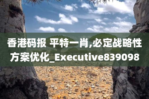 香港码报 平特一肖,必定战略性方案优化_Executive839098