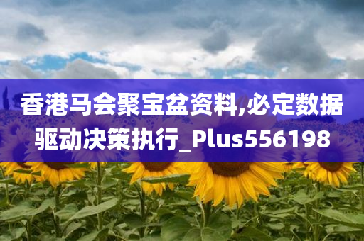 香港马会聚宝盆资料,必定数据驱动决策执行_Plus556198