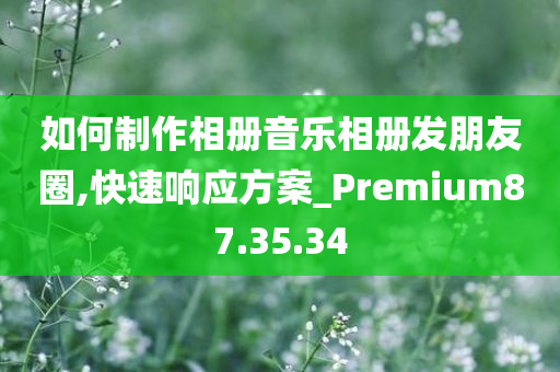 如何制作相册音乐相册发朋友圈,快速响应方案_Premium87.35.34