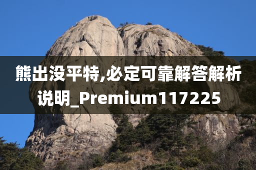 熊出没平特,必定可靠解答解析说明_Premium117225