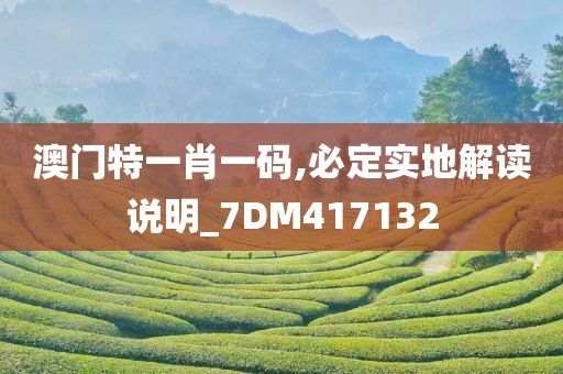 澳门特一肖一码,必定实地解读说明_7DM417132