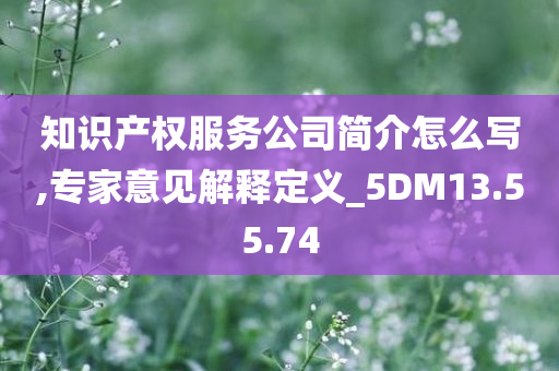 知识产权服务公司简介怎么写,专家意见解释定义_5DM13.55.74