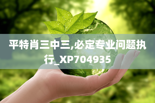 平特肖三中三,必定专业问题执行_XP704935