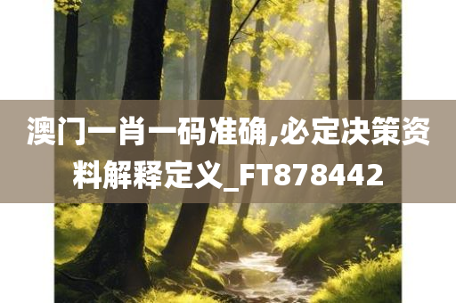 澳门一肖一码准确,必定决策资料解释定义_FT878442