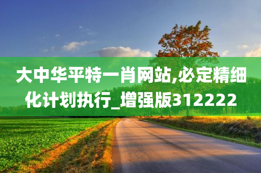 大中华平特一肖网站,必定精细化计划执行_增强版312222