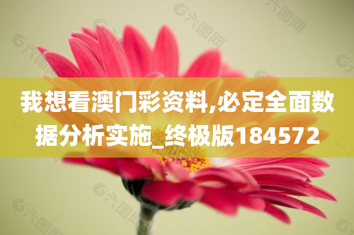 我想看澳门彩资料,必定全面数据分析实施_终极版184572