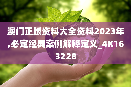 澳门正版资料大全资料2023年,必定经典案例解释定义_4K163228