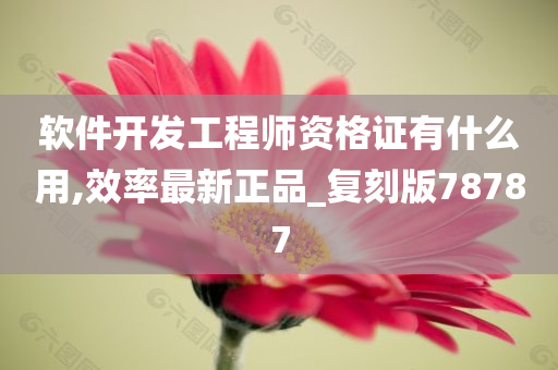 软件开发工程师资格证有什么用,效率最新正品_复刻版78787