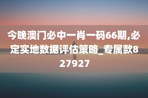 今晚澳门必中一肖一码66期,必定实地数据评估策略_专属款827927