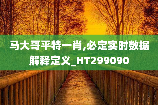 马大哥平特一肖,必定实时数据解释定义_HT299090