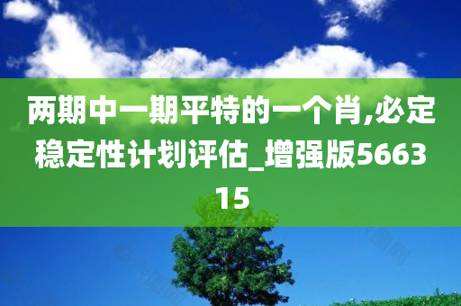 两期中一期平特的一个肖,必定稳定性计划评估_增强版566315