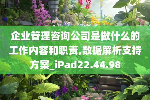 企业管理咨询公司是做什么的工作内容和职责,数据解析支持方案_iPad22.44.98