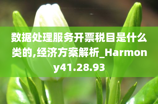 数据处理服务开票税目是什么类的,经济方案解析_Harmony41.28.93