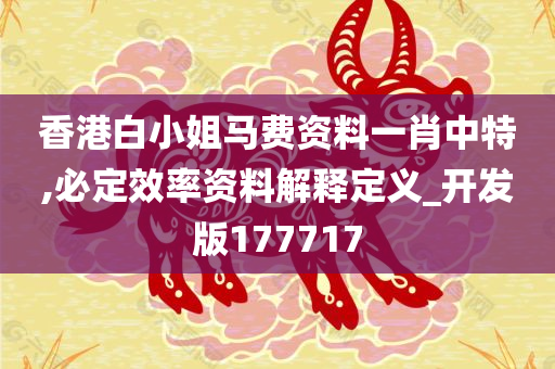 香港白小姐马费资料一肖中特,必定效率资料解释定义_开发版177717