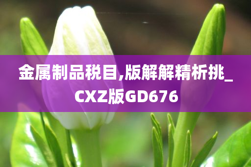 金属制品税目,版解解精析挑_CXZ版GD676