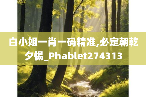 白小姐一肖一码精准,必定朝乾夕惕_Phablet274313