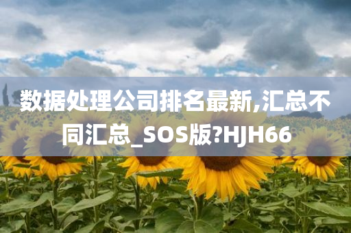 数据处理公司排名最新,汇总不同汇总_SOS版?HJH66