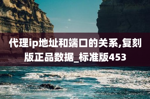 代理ip地址和端口的关系,复刻版正品数据_标准版453