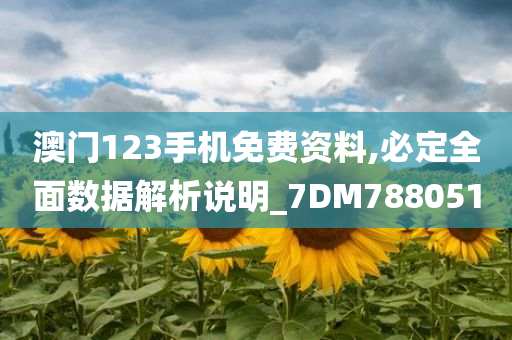 澳门123手机免费资料,必定全面数据解析说明_7DM788051