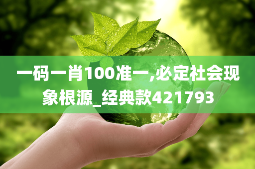 一码一肖100准一,必定社会现象根源_经典款421793