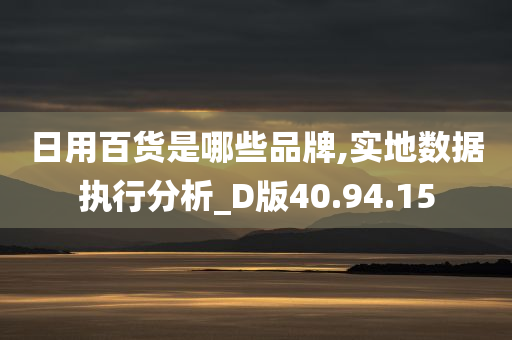 日用百货是哪些品牌,实地数据执行分析_D版40.94.15