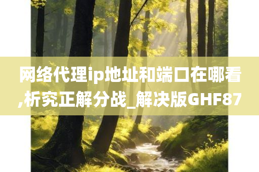 网络代理ip地址和端口在哪看,析究正解分战_解决版GHF87