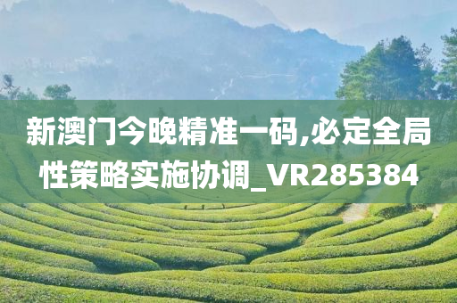 新澳门今晚精准一码,必定全局性策略实施协调_VR285384