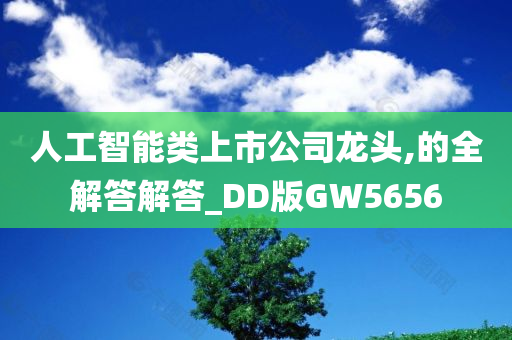 人工智能类上市公司龙头,的全解答解答_DD版GW5656