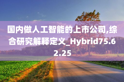 国内做人工智能的上市公司,综合研究解释定义_Hybrid75.62.25