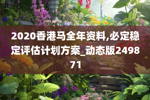 2020香港马全年资料,必定稳定评估计划方案_动态版249871