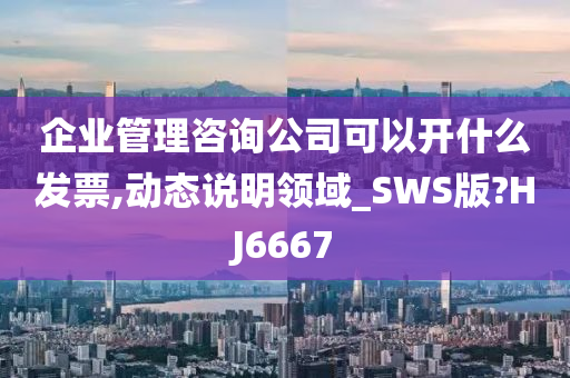 企业管理咨询公司可以开什么发票,动态说明领域_SWS版?HJ6667