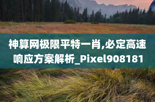 神算网极限平特一肖,必定高速响应方案解析_Pixel908181