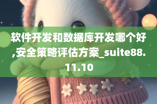 软件开发和数据库开发哪个好,安全策略评估方案_suite88.11.10