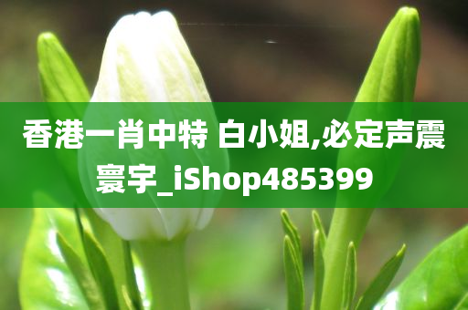 香港一肖中特 白小姐,必定声震寰宇_iShop485399