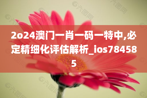 2o24澳门一肖一码一特中,必定精细化评估解析_ios784585