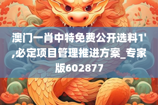 澳门一肖中特免费公开选料1',必定项目管理推进方案_专家版602877