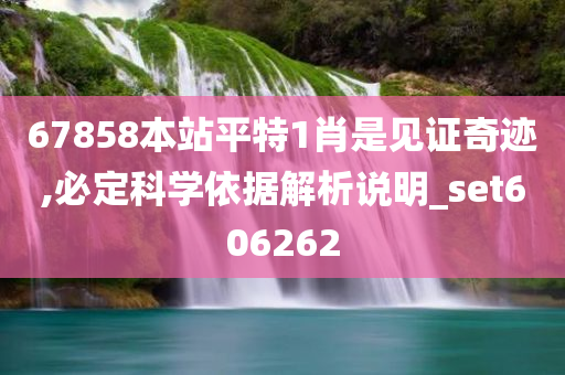 67858本站平特1肖是见证奇迹,必定科学依据解析说明_set606262