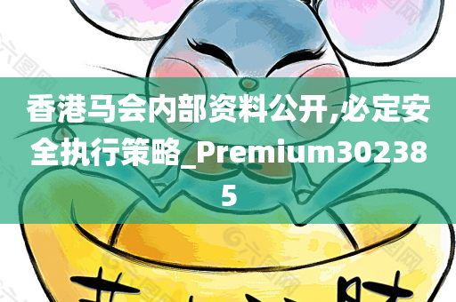 香港马会内部资料公开,必定安全执行策略_Premium302385