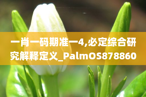 一肖一码期准一4,必定综合研究解释定义_PalmOS878860