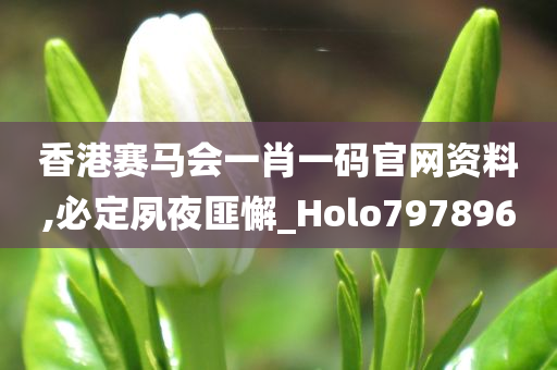 香港赛马会一肖一码官网资料,必定夙夜匪懈_Holo797896