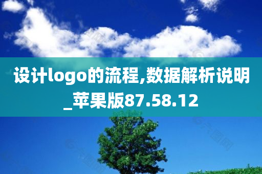 设计logo的流程,数据解析说明_苹果版87.58.12